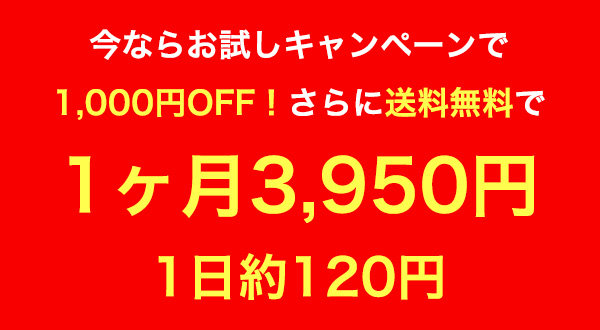 今ならお得なキャンペーンで1ヶ月2,970円　1日約100円